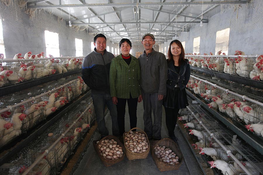 Zhang Youlu (izquierda) y su familia en su granja de pollos con canastas de huevos y algunos de sus 5.000 pollos, el 11 de marzo de 2016. 
