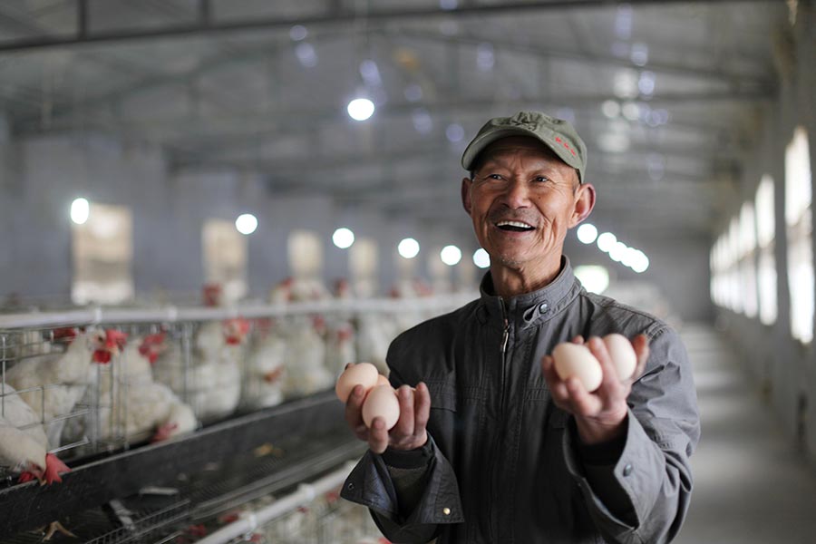 El padre de Zhang Youlu, Zhang Xiaode, está feliz al mostrar algunos de los huevos producidos en la granja de pollos, el 9 de marzo de 2016.
