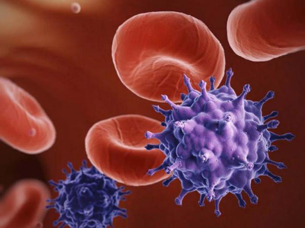 La cura del VIH podría estar en la sangre humana