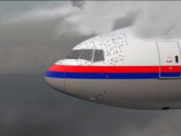 Detenido un sicario por intentar asesinar al principal investigador del derribo del avión MH17