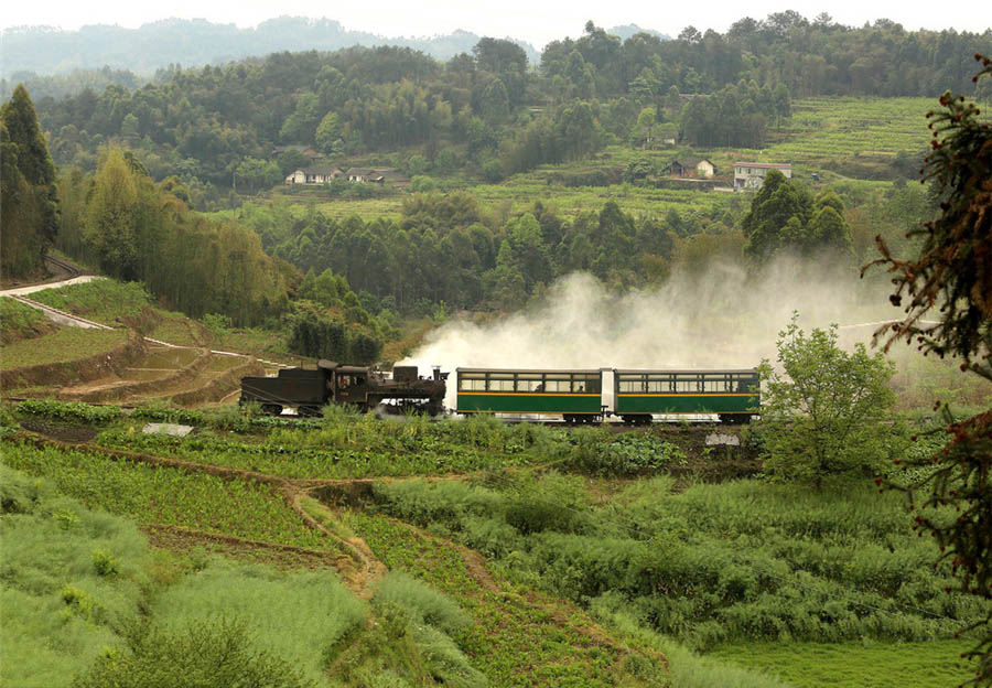 El antiguo tren de vapor de pasajeros atraviesa un campo cercano a la aldea de Jiayang, en la provincia de Sichuan, el 7 de abril de 2016.