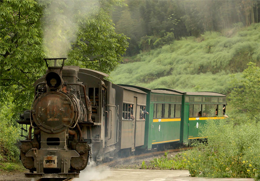 El antiguo tren de vapor de pasajeros atraviesa un campo cercano a la aldea de Jiayang, en la provincia de Sichuan, el 7 de abril de 2016. 
