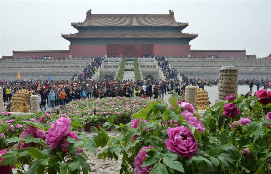 Los visitantes disfrutan de la exposición de flores de peonia en el Museo de Palacio en Beijing, el 12 de abril de 2016. [Foto / Xinhua]