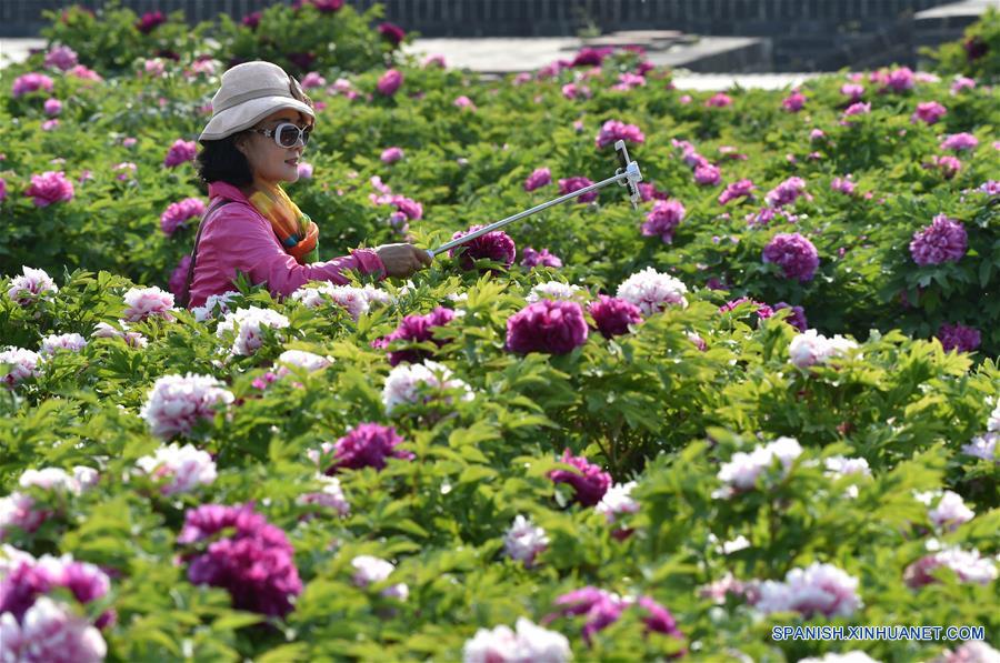 Flores en el Parque de Beijing