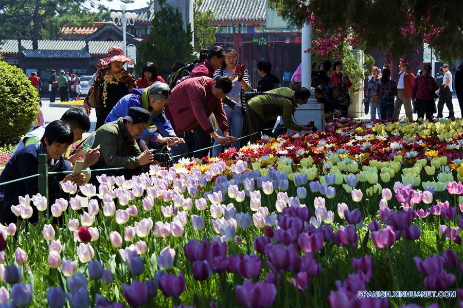 Flores en el Parque de Beijing