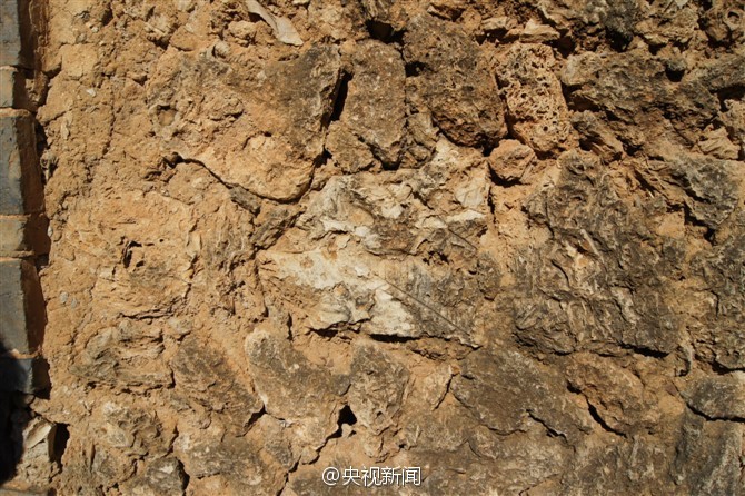 Aldea de casas construidas con fósiles de 375 millones de años