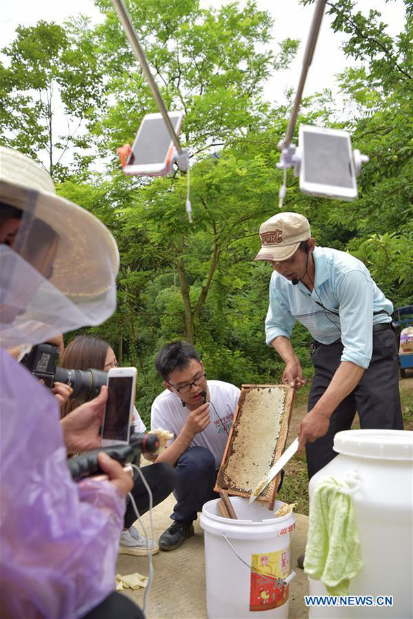 Taobao lanza su servicio de transmisión en vivo para productos agrícolas en Chongqing