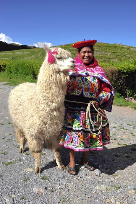 La alpaca es un animal oriundo de los Andes, que vive a cinco mil metros de altura. 