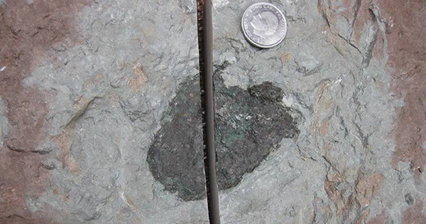 Encuentran en una mina de Suecia el primer meteorito «extinto»