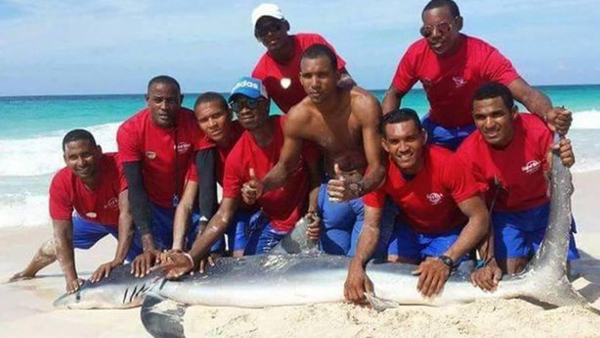 Turistas matan a tiburón por tomarse una foto