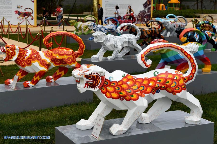 Yunnan: Esculturas de tigre pintadas se exhiben en Kunming