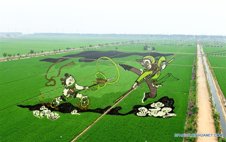 Dibujos animados en un parque industrial agrícola de China
