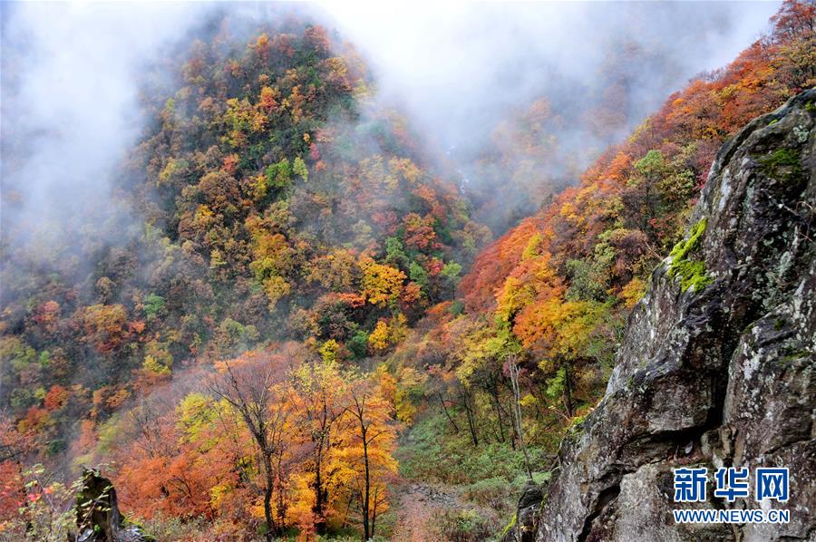 Shennongjia, de la provincia china de Hubei, declarado Patrimonio de la Humanidad