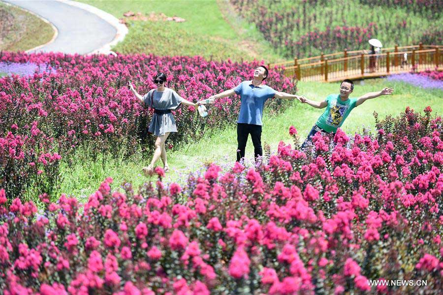La gente disfruta de las flores en el Valle Qijianghengshan