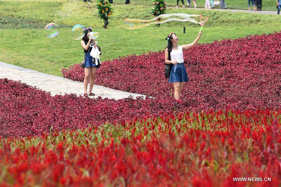 La gente disfruta de las flores en el Valle Qijianghengshan