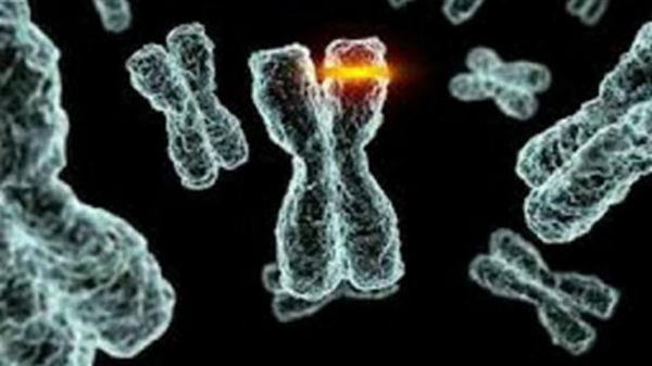 Presentan el mapa de las mutaciones genéticas humana