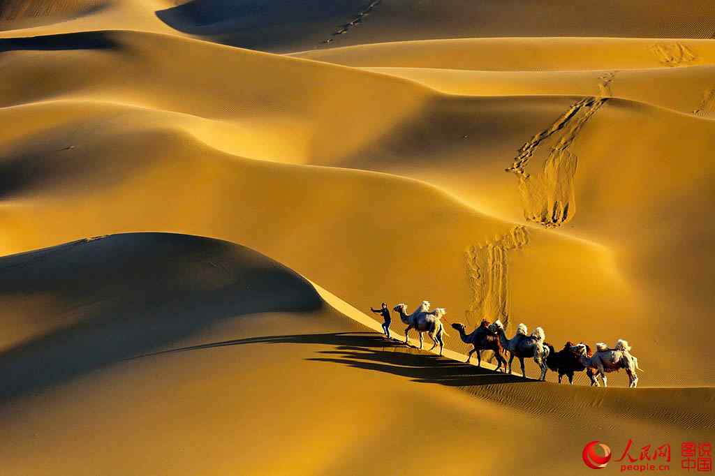 Sonido de campanas de camellos en el desierto Kumtag