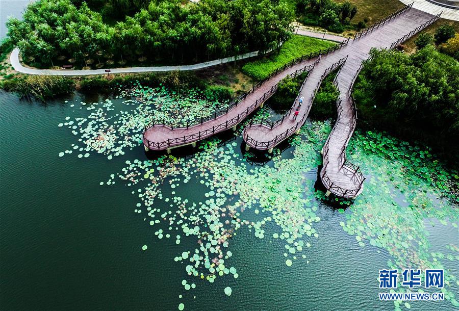 Imágenes de los parques ecológicos chinos