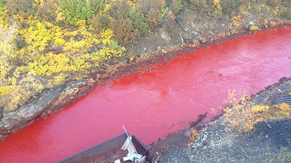 Las aguas de un río de Rusia se tiñen de rojo sangre
