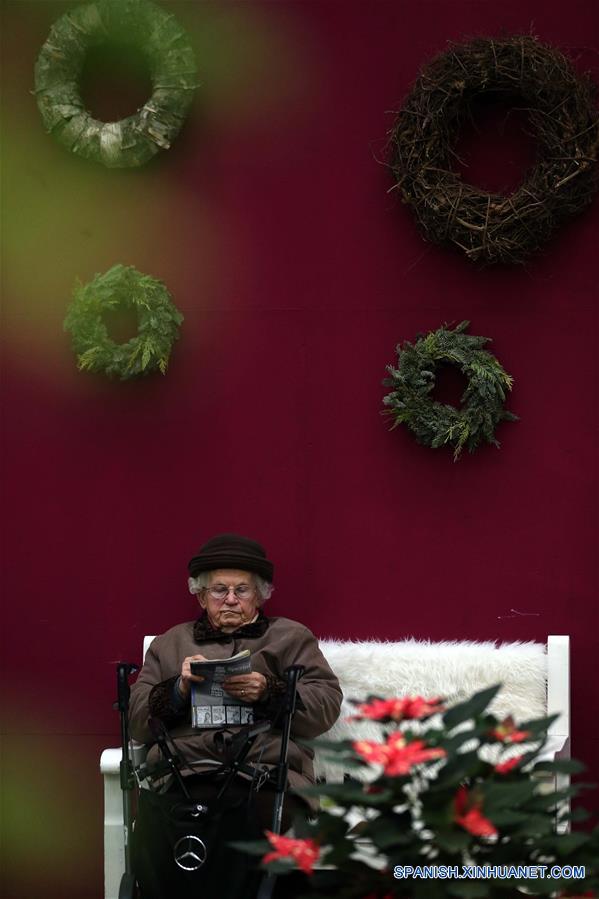 Una mujer visita la exposición de Navidad en el Jardín de Palmeras en Frankfurt, Alemania, el 25 de diciembre de 2016. (Xinhua/Luo Huanhuan)