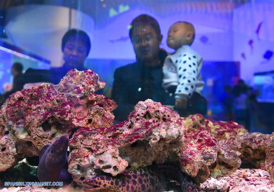  Residentes observan una pecera en el interior del Museo de Ciencia y Tecnología de Mongolia Interior en Hohhot, capital de la región autónoma de Mongolia Interior, en el norte de China, el 31 de enero de 2017. El museo de ciencias comenzó a recibir visitantes el martes, el quinto día de las vacaciones del Año Nuevo Lunar chino. (Xinhua/Deng Hua)