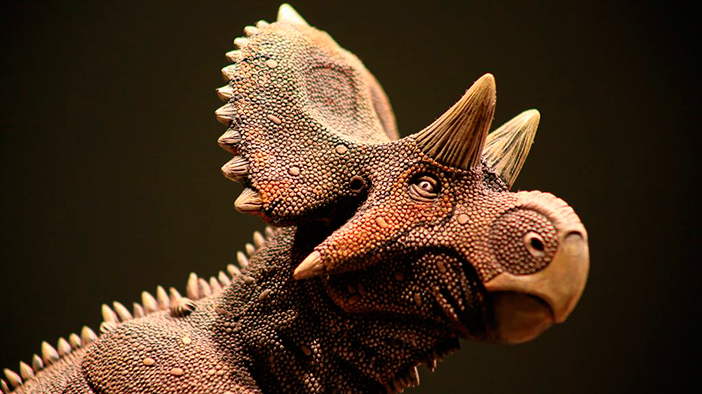 Hallazgo de nueva clase de dinosaurio es una aportación de México al mundo