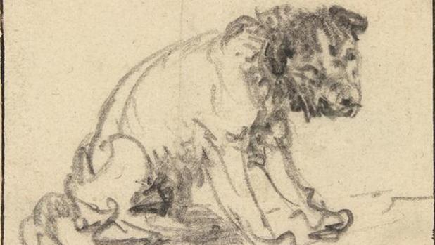 Hallan un olvidado dibujo de Rembrandt en el museo de Braunschweig