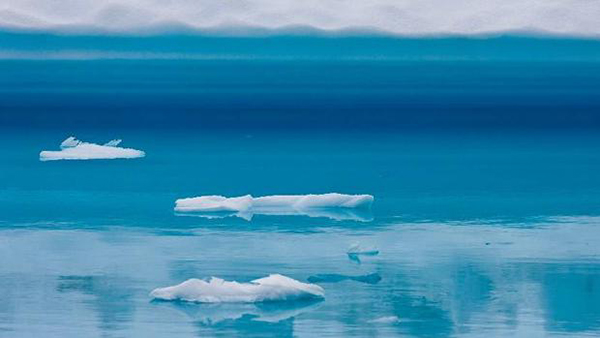 Descubren que el Ártico es el océano que más rápido se acidifica