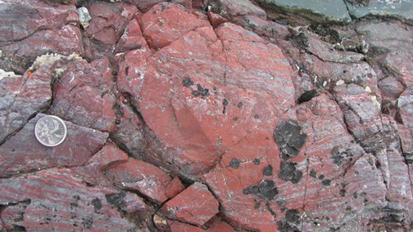 Desentierran en Canadá el fósil más antiguo de la Tierra