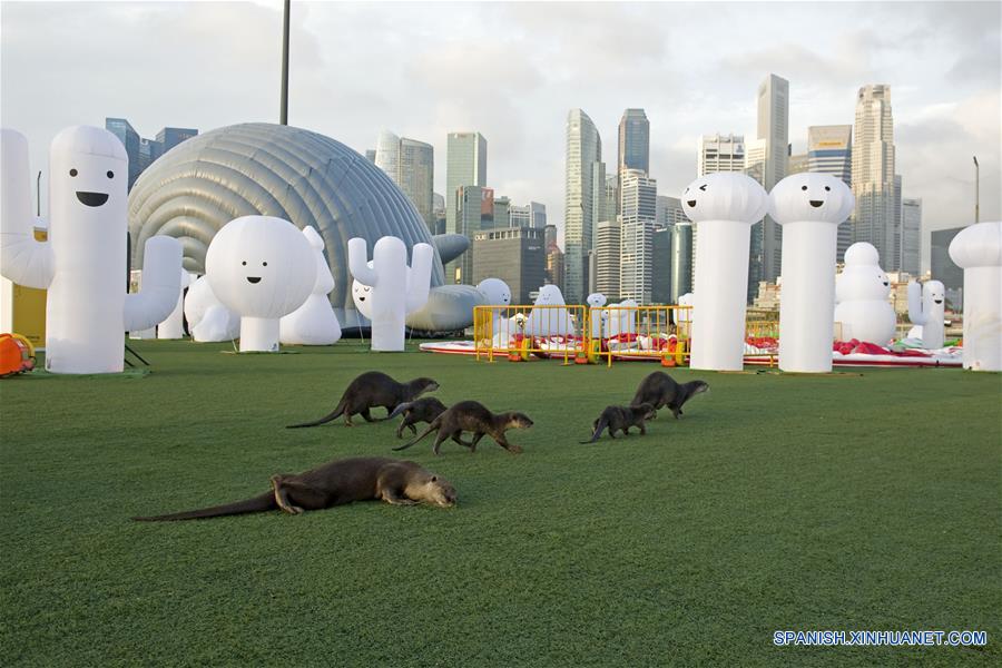 La exhibición "i Light Marina Bay" en Marina Bay en Singapur