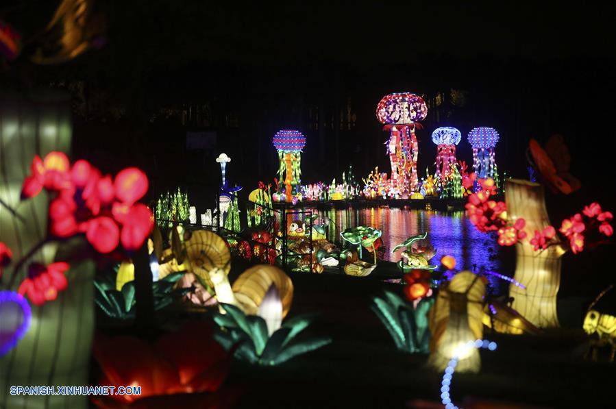 EEUU: Festival de Linternas de China en Florida 2