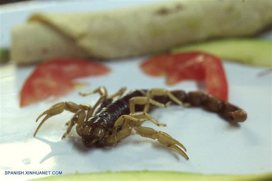 Platillos preparados con tarántulas, escorpiones y más insectos