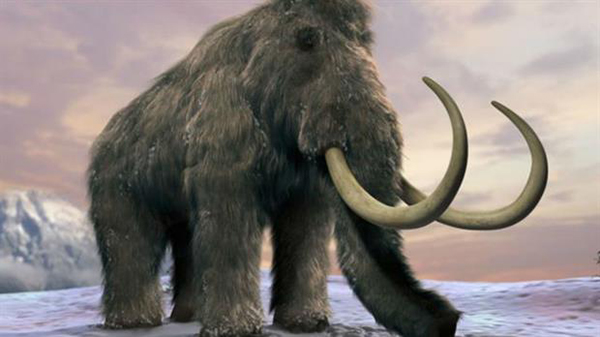 Descubren que los mamuts sufrían los mismos problemas de huesos que los humanos