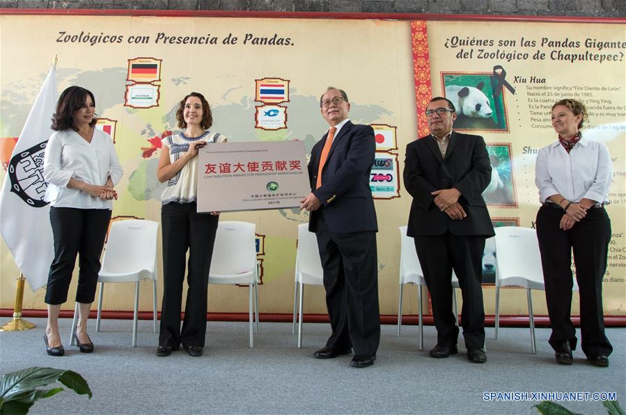 El embajador de China en México, Qiu Xiaoqi (c), entrega el reconocimiento a la secretaria del Medio Ambiente de la Ciudad de México, Tanya Müller García (2-i), por el excelente manejo de los pandas gigantes en la Ciudad de México, durante el "Homenaje a los Pandas de la Ciudad de México" a 42 años de la llegada de los pandas a México, llevado a cabo en el Zoológico de Chapultepec, en la Ciudad de México, capital de México, el 3 de junio de 2017. El Zoológico del Bosque de Chapultepec de la Ciudad de México recibió el sábado un reconocimiento especial, de parte de China, por las acciones de conservación y cuidado de los osos panda. Estas acciones se iniciaron desde hace 42 años, cuando llegó del país asiático una pareja de pandas conocidos como "Pe Pe" y "Ying Ying", que han sido la pareja más prolífica a nivel mundial, ya que concibieron en cautiverio y en la Ciudad de México siete crías adultas (tres machos y cuatro hembras). El evento fue organizado como parte de las actividades culturales internacionales desarrolladas por la embajada de China, el Centro Cultural de China en México y el Instituto Nacional de Bellas Artes de México, que este año tienen como tema central a las pandas gigantes del Zoológico de Chapultepec. (Xinhua/Francisco Cañedo)