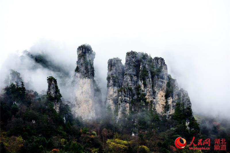Reserva Natural de Shennongjia, un ejemplo del desarrollo equilibrado del turismo