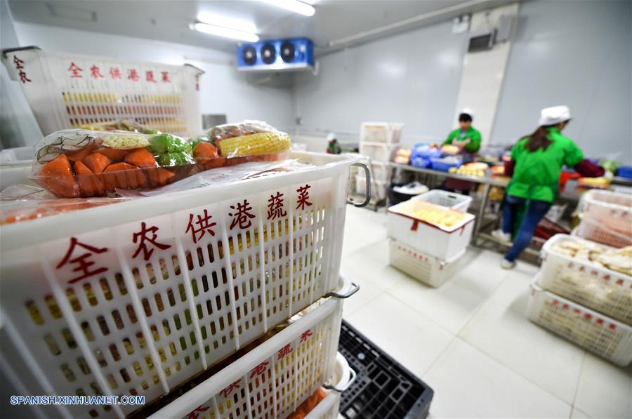 GUANGDONG, junio 18, 2017 (Xinhua) -- Imagen del 13 de junio de 2017, de empleados preparando vegetales en el centro de comercio de vegetales de Runfeng, en Dongguan, en la provincia de Guangdong, en el sur de China. Según las estadísticas de las autoridades locales, más del 85 por ciento de los vegetales, frutas y aves de corral vivas que llegaron desde la parte continental de China a los mercados de Hong Kong, fueron transportados a través del puerto Wenjindu de Shenzhen. (Xinhua/Mao Siqian)