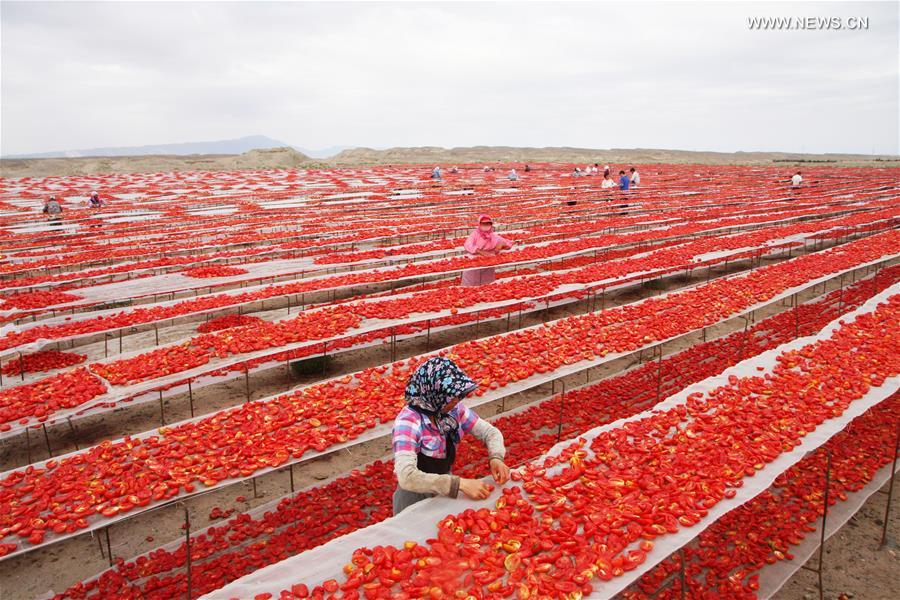 Secaderos de tomates en Xinjiang