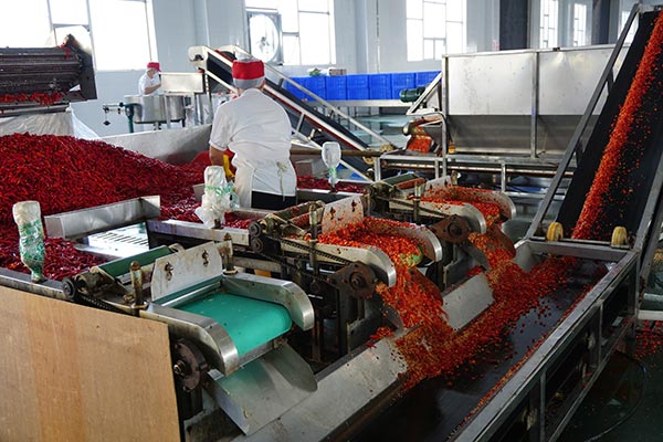 La industria de los pimientos picantes saca de la pobreza a un condado en Hunan