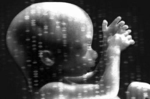 Científicos buscan cooperación internacional en la edición de embriones humanos