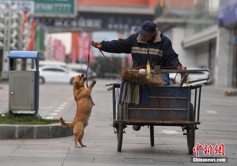 Un perro ayuda a su dueño a recoger basura en Changchun