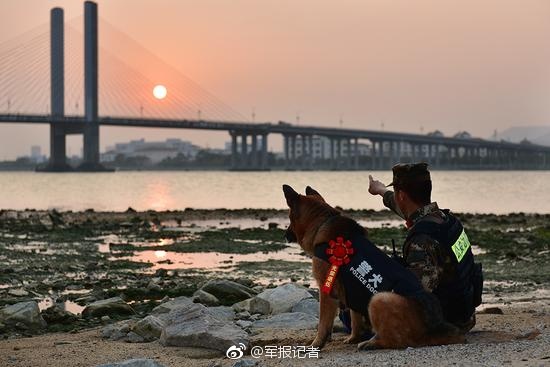 Fuerzas del orden organizan funeral para un perro policía en Guangdong