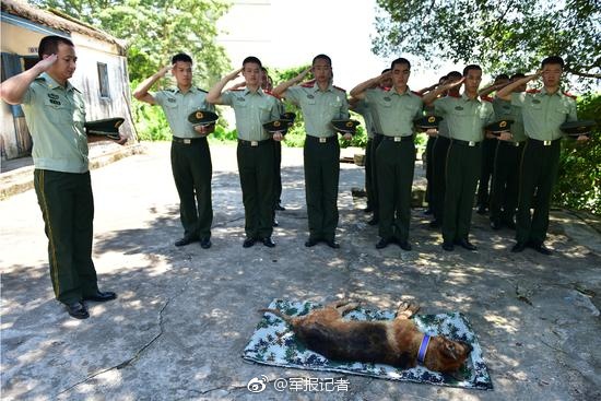 Fuerzas del orden organizan funeral para un perro policía en Guangdong