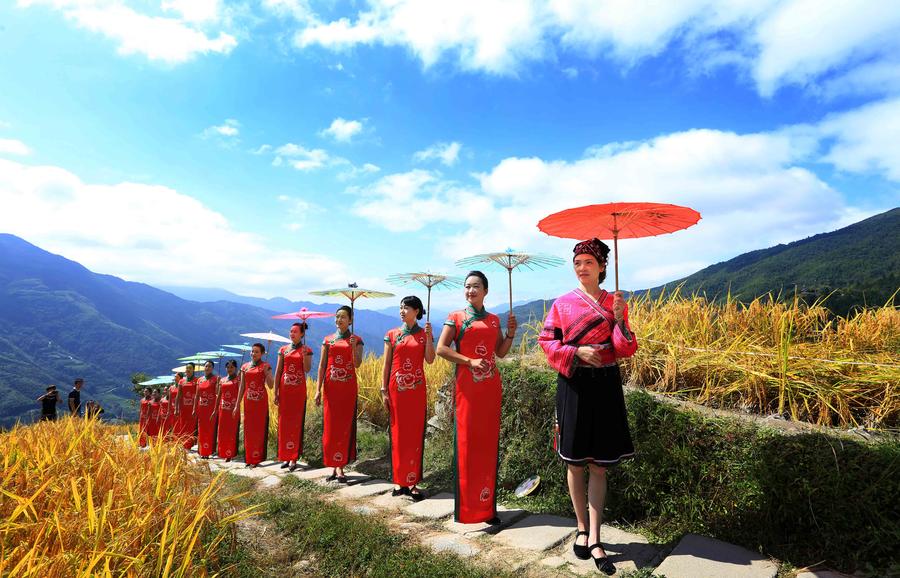 El tradicional cheongsam colorea de la Terraza de Ping'anen en Guangxi