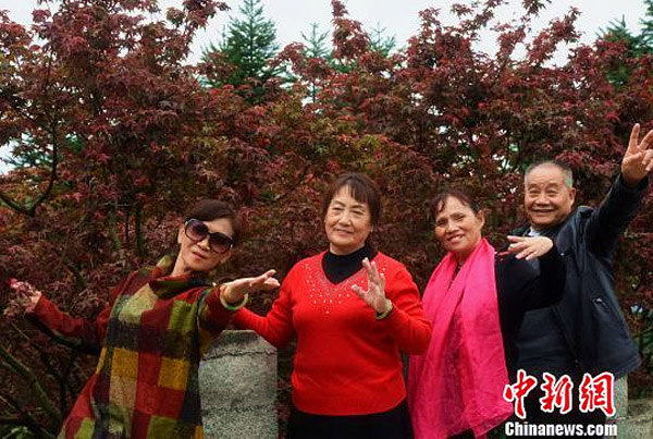Cuatro ciudadanos de la tercera edad aprecian las hojas del arce rojo en Chongqing, 24 de octubre del 2017. [Foto: chinnews.com]