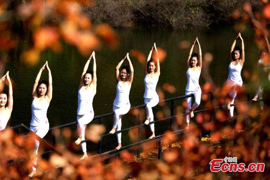 Practicantes de yoga se fusionan con el otoño chino