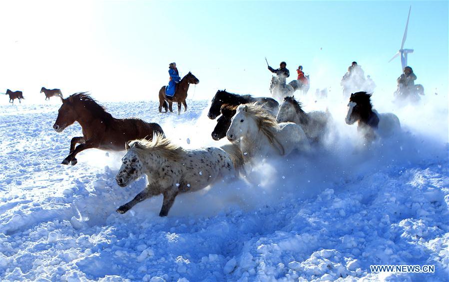 Pastores doman caballos salvajes en la nieve