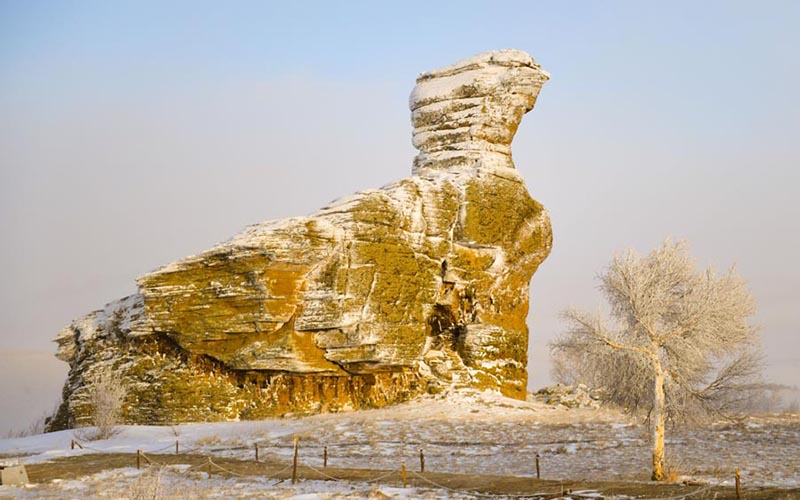Parque Natural de Hexigten, en la ciudad Chifeng, Región Autónoma de Mongolia Interior, China, 10 de enero del 2018. [Foto: Xinhua]