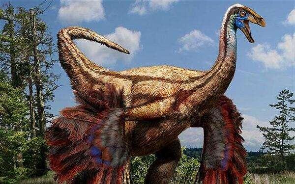 Devueltos a China fósiles de dinosaurios y pájaro primitivo