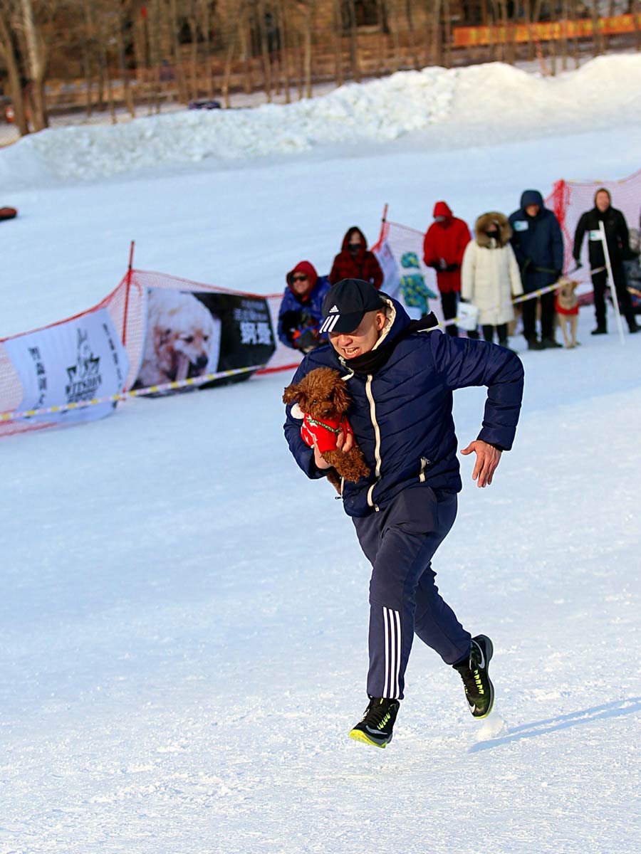 Un dueño corre sobre la nievecon su perro pequeño en brazos en los Juegos de Hielo y Nieve para Mascotas de Shenyang.[Foto / Proporcionado a chinadaily.com.cn]
