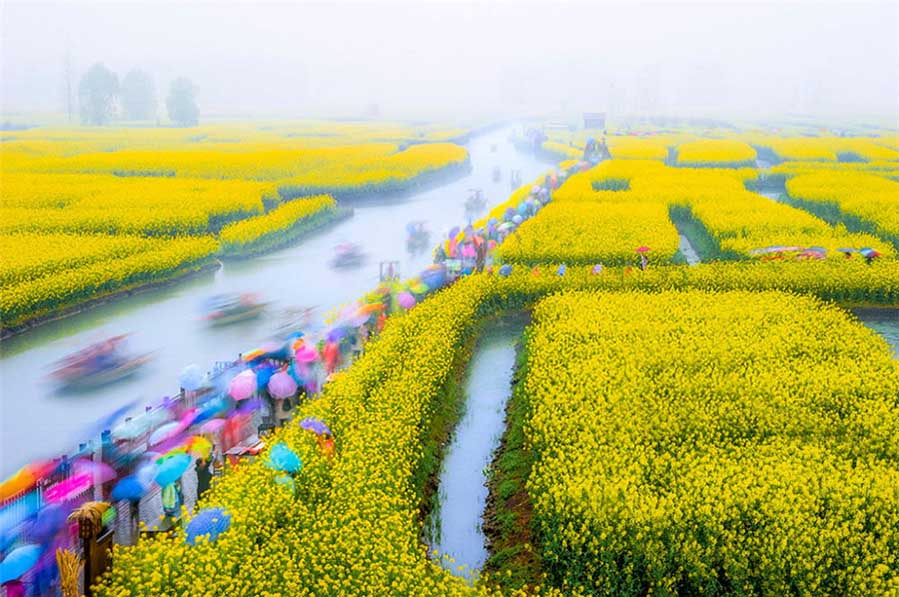 Los turistas disfrutan de las flores de colza, tomada por Wu Shaoping. [Foto proporcionada por photoint.net]